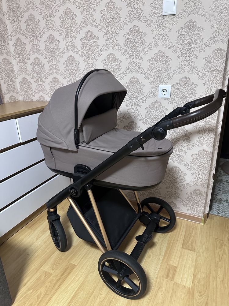 Roan Ivi 2023 Gold Rose
