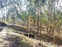 Terreno em Santa Maria de Sardoura