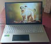 Laptop Asus Vivobook S15 S532FL
