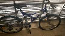 Bicicleta adulto