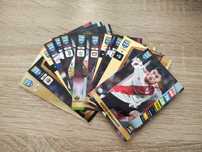 Karty piłkarskie Panini FIFA 365