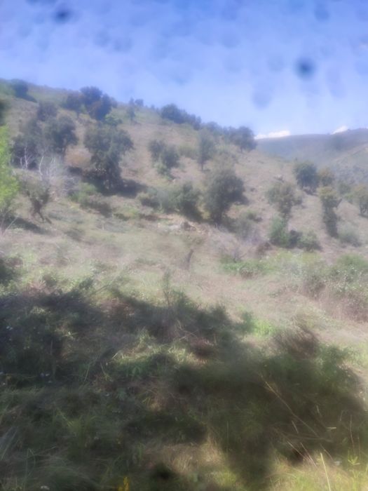 Vendo um terreno junto ou Douro