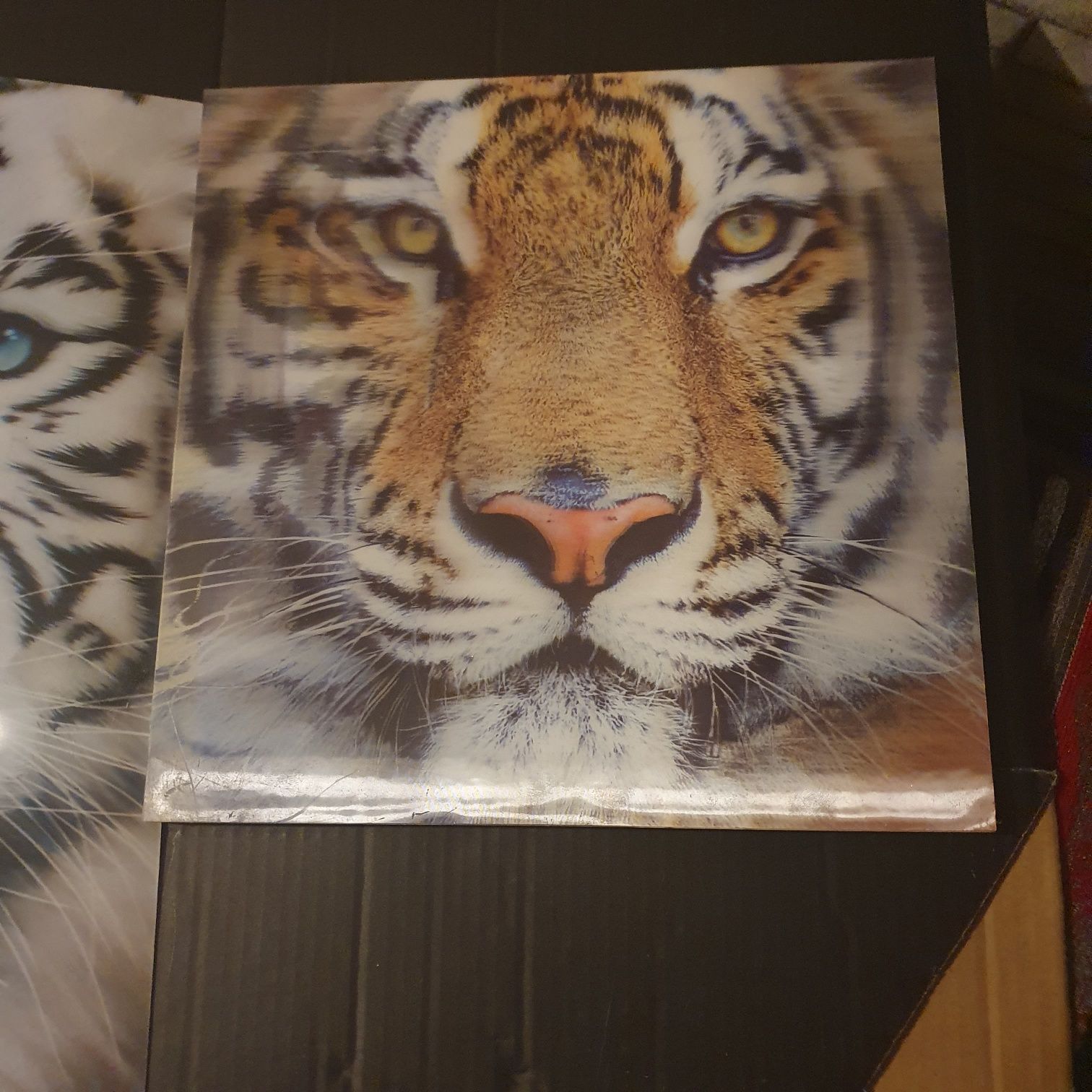 Obrazy tygrys zestaw
