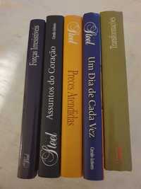 Conjunto de livros Danielle Steel