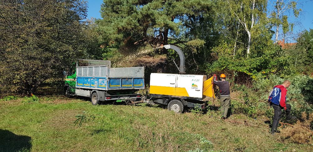 Wycinka drzew, korekty drzew, wycinka alpinistyczna, usługi rębakiem