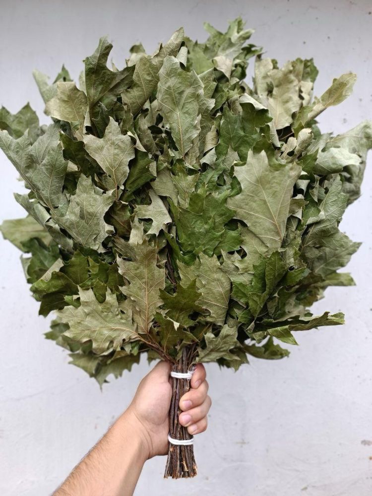 Веники для бани дуб, берёза, эвкалипт, можжевельник