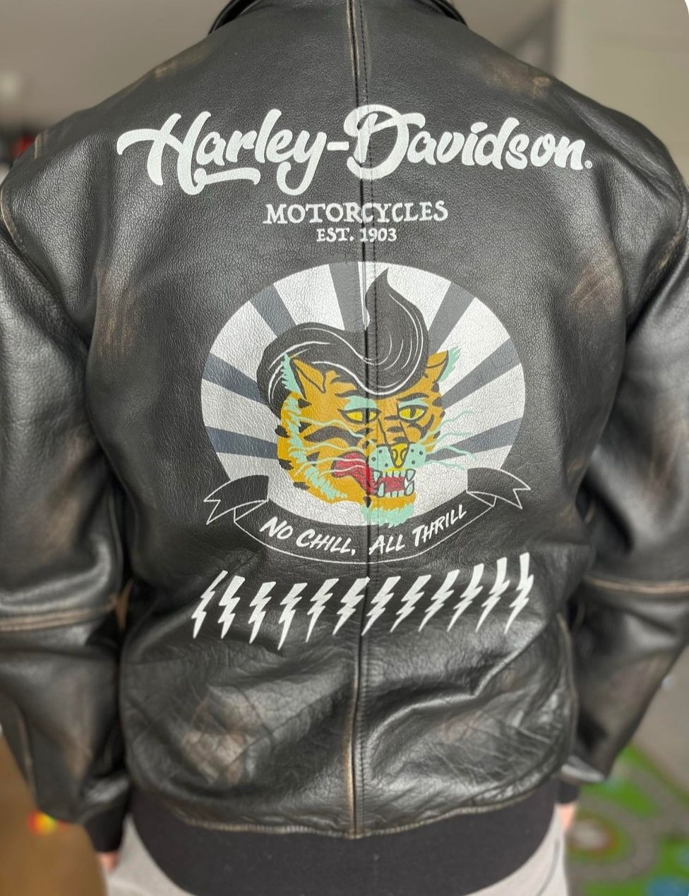 Kurtka Harley Davidson