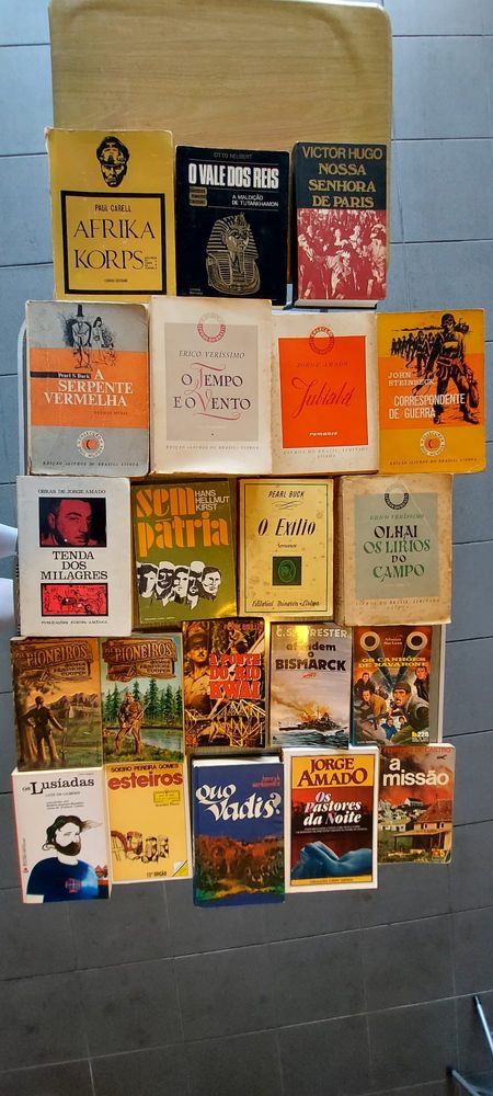 Pack 21 livros diversos