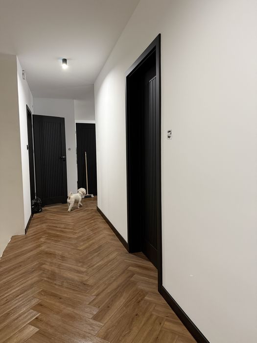 Elewacje ocieplenia  budynków/ malowanie mycie elewacji