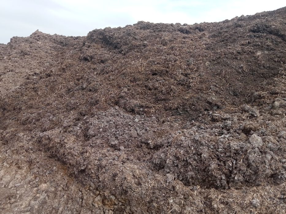 Podłoże popieczarkowe podkład po pieczarkowy obornik kurzak