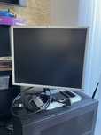 Monitor HP LP1965 funkcja pivot