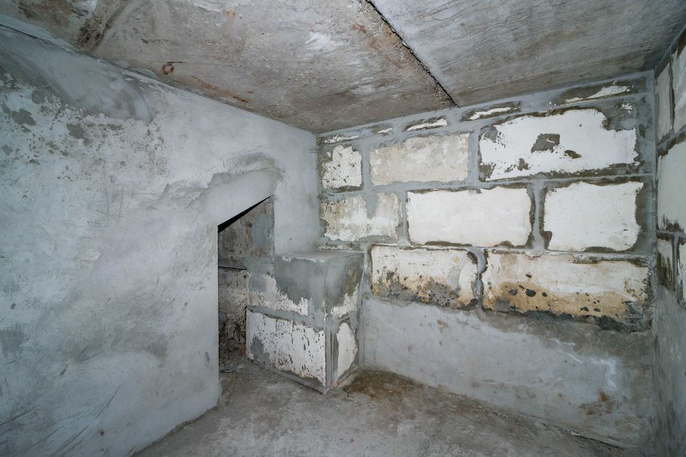 Без% Продаж сучасного будинку на березі Дніпра в Халеп"я Обухівський р