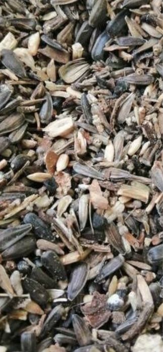 КУПЛЮ ВіДХОД соняшника !