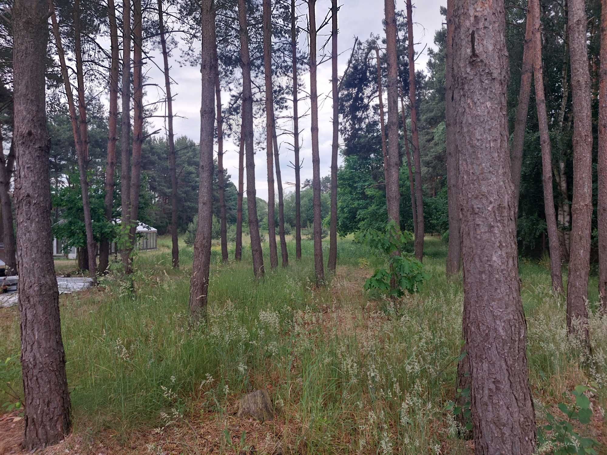 Dom z dużą działką 70km od Warszawy.