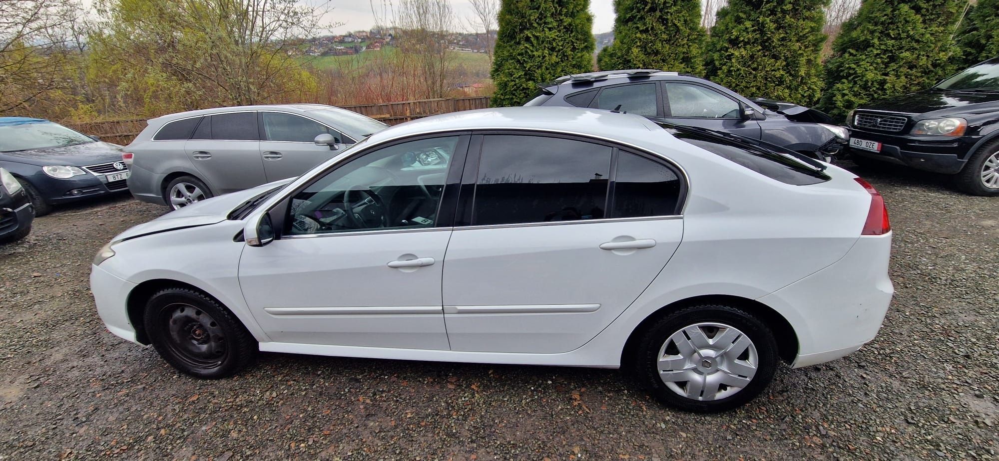 Renault Laguna 2.0 dci uszkodzona  lekko w przod