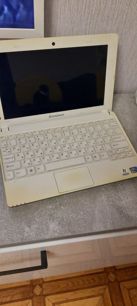 Нетбук Lenovo IdeaPad S100 (59-301383)