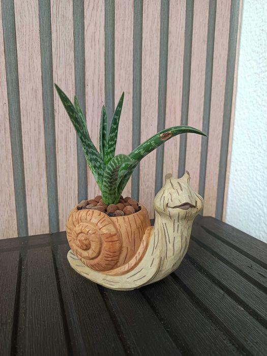 Decoração gesso e velas