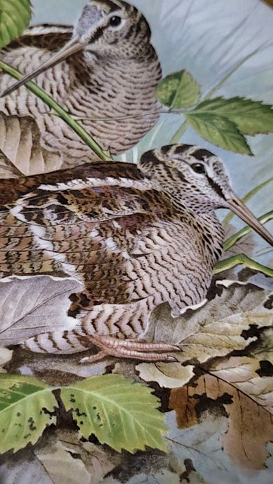 Zestaw 2 kolekcjonerskich talerzy  Franklin