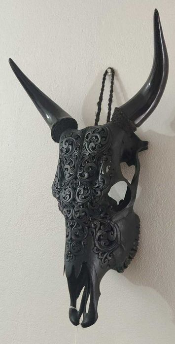 Crânio de vaca - Bali (Indonésia)