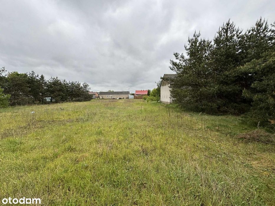 Działka Budowlana gm. Strzegowo-Kowalewko Mława