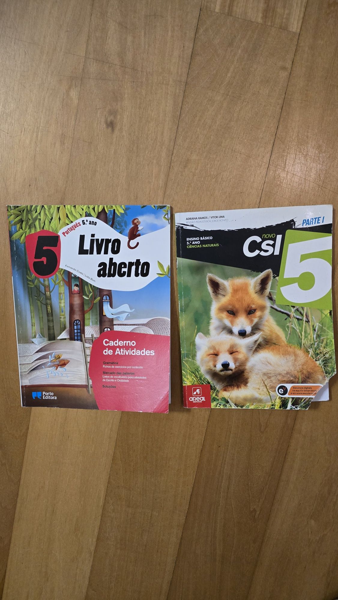 Livros escolares do 4o ao 7o ano