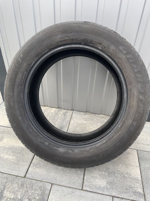 DUNLOP GRANDTREK PT 30 225/60R18 100 H