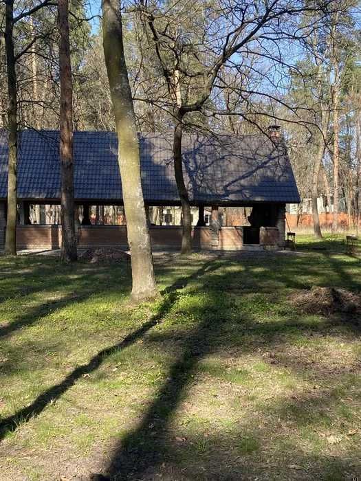 Аренда дома 250 м2 4к 200 соток село Орловщина