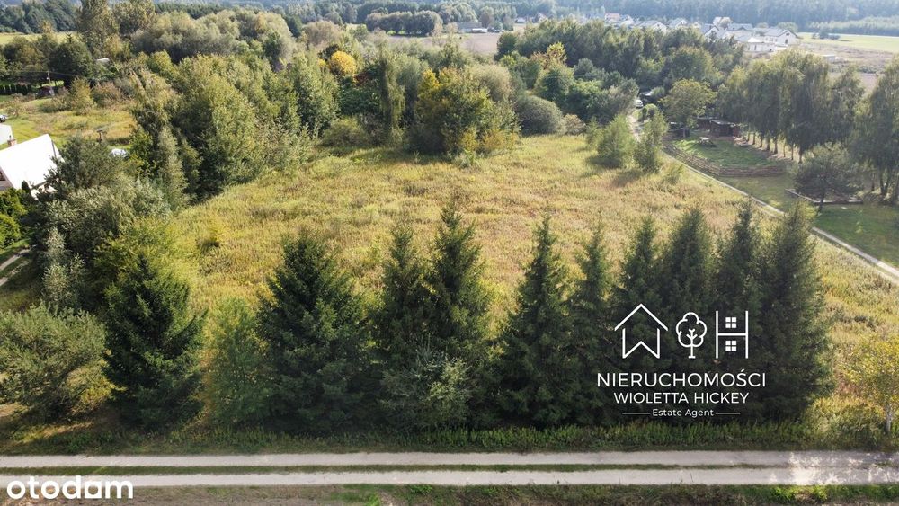 2 Działki w otoczeniu drzew – Wyszyna, gmina Stara Biała k Płocka