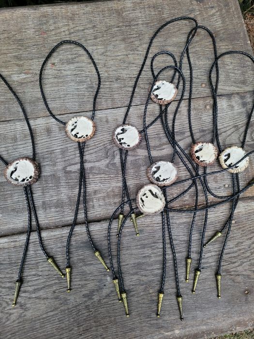 Dzik odyniec Bolo krawatnik poroze jelenia losia