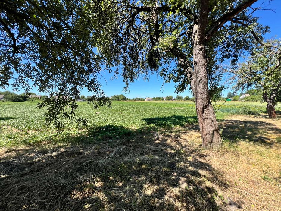 Продаж будинку в Пулинах