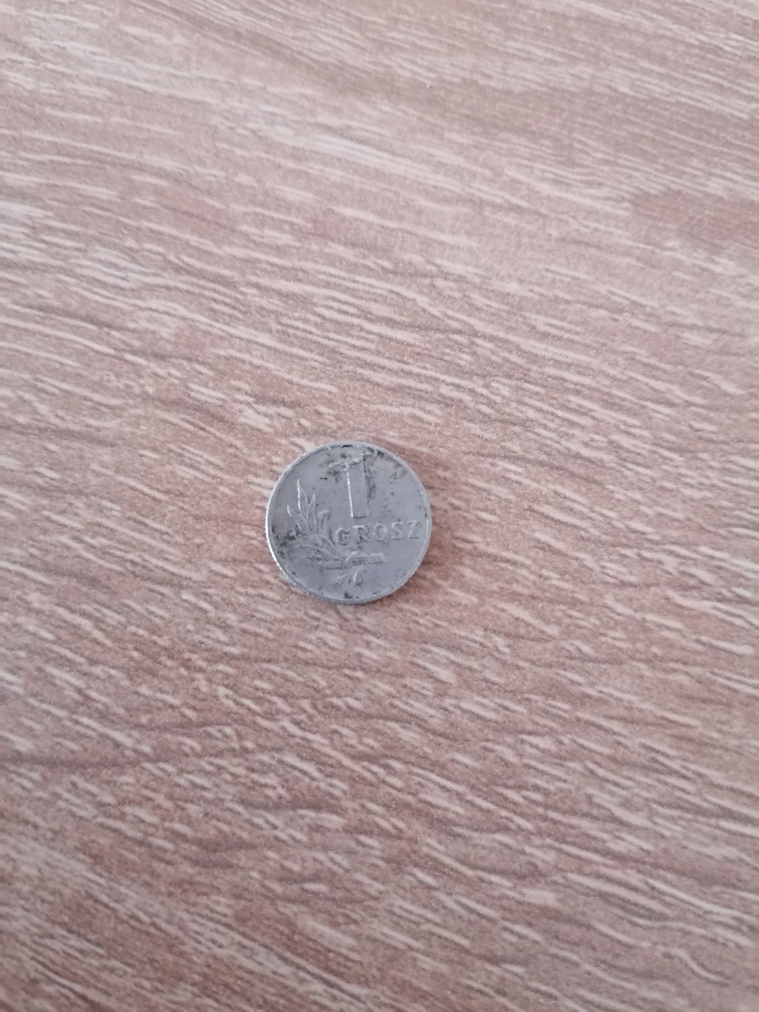 Moneta 1 grosz 1949 rok