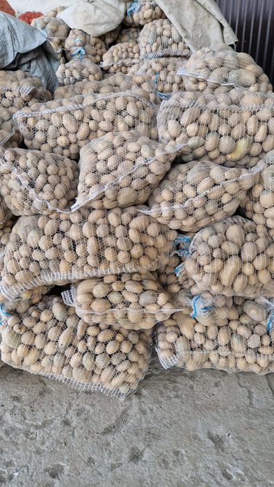Ziemniaki paszowe odpadowe drobne