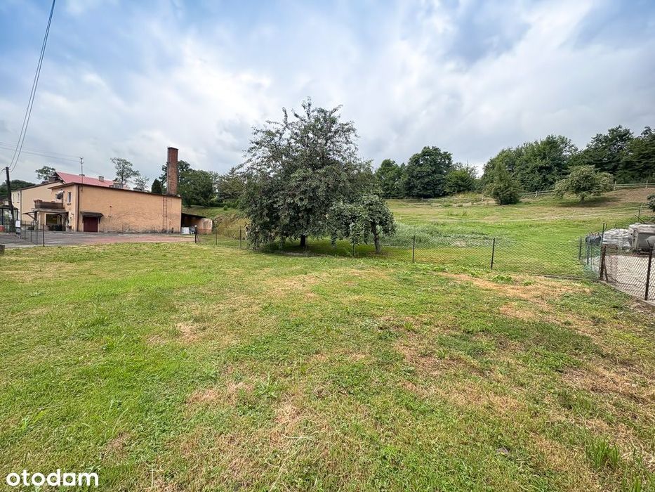 Kup dziś, zyskaj jutro!