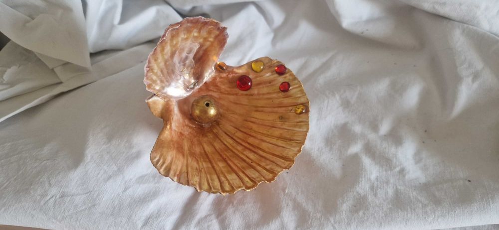 Solidariedade para associação sem fim lucrativos