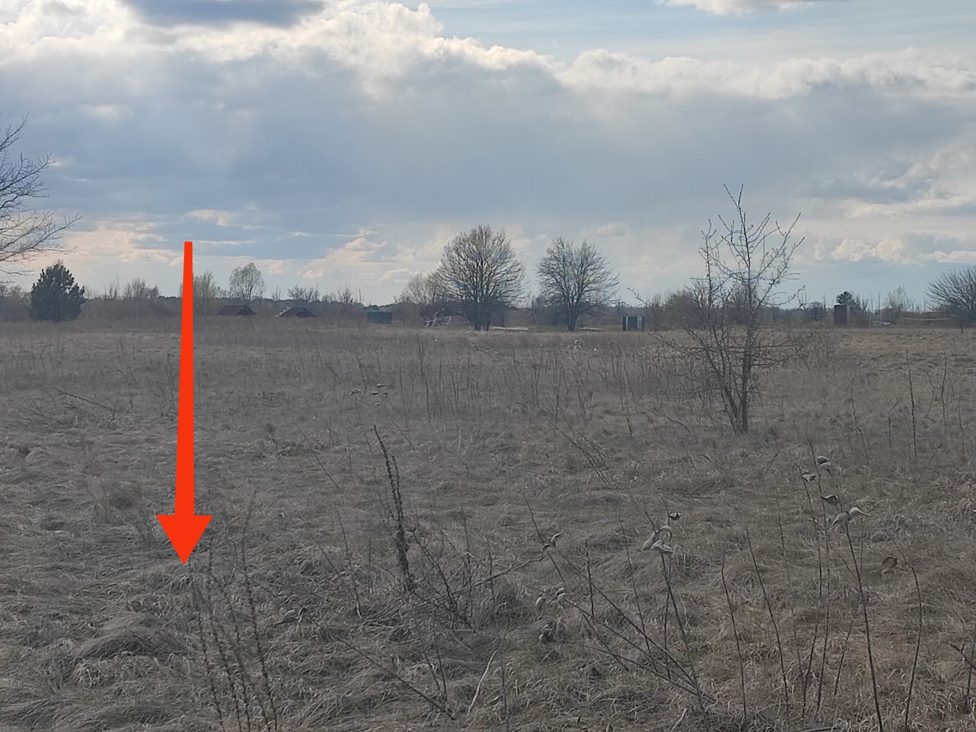 Проців, біля пляжу в районі Івана Кудрі. 25 соток друга лінія Павлівки