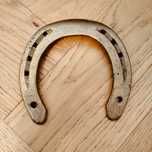 Podkowa złota na ścianę, na szczęście, konie, hobby horse