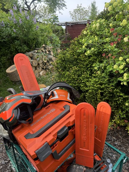 Wycinka drzew - SilesiaArbor