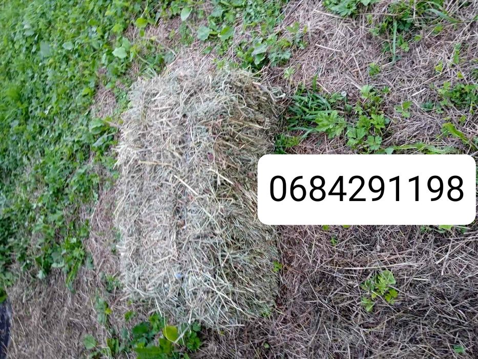Продам тюки сіна