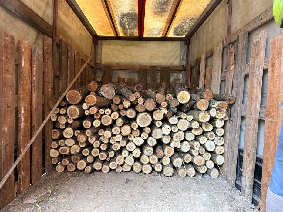 Дуб ясень акация и другие твёрдые породы