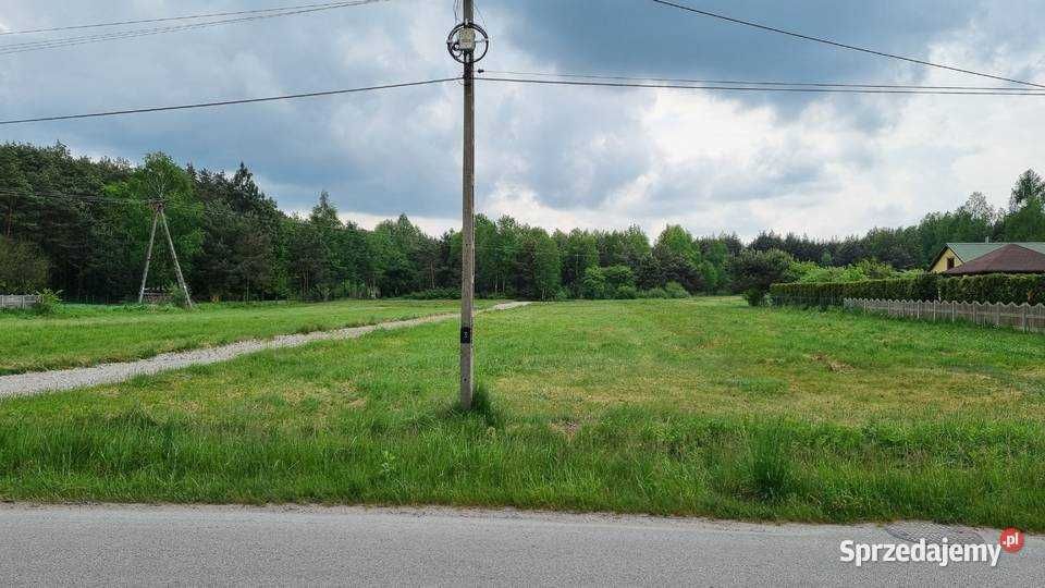 Atrakcyjne dzialki budowlane z widokiem na las