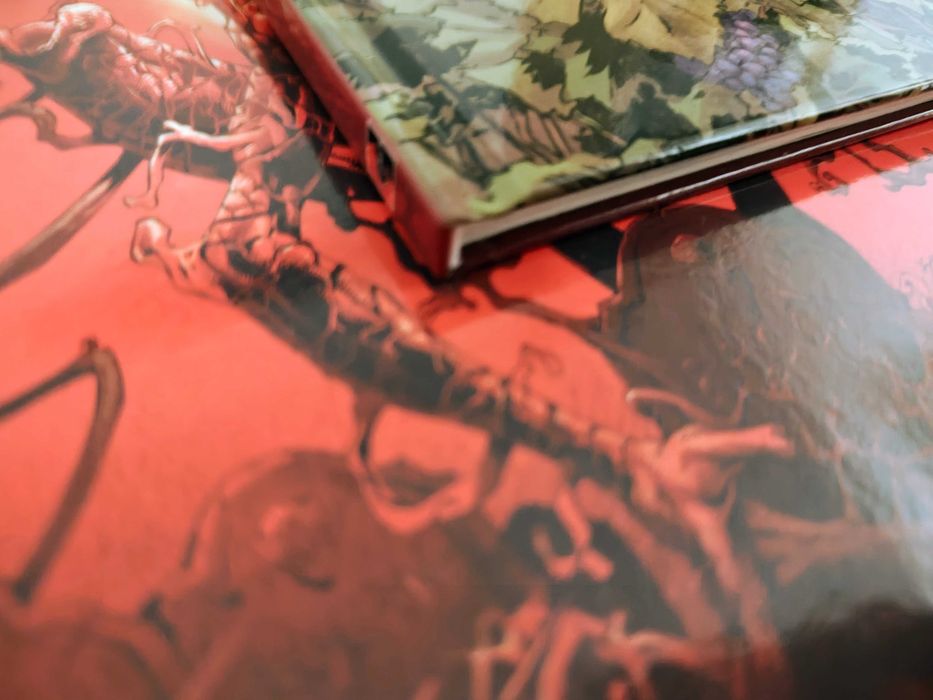 NOWY Chateaux Bordeaux - 1 - Posiadłość