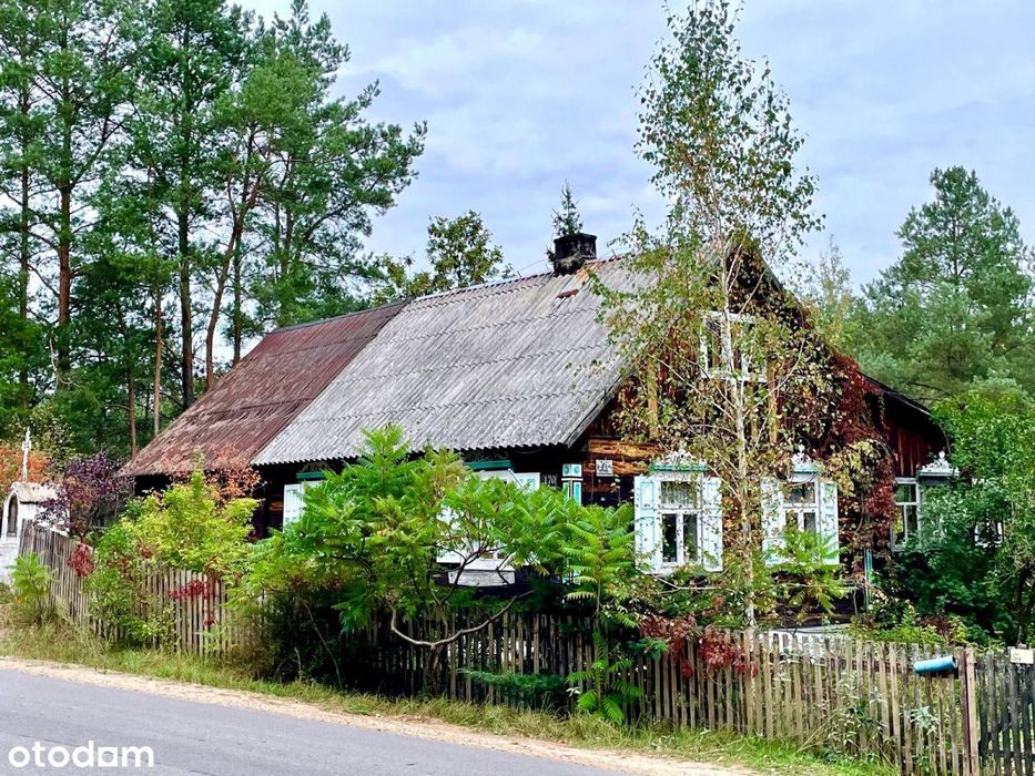 Klimatyczne Siedlisko nad rzeka Pisą Dobry Las