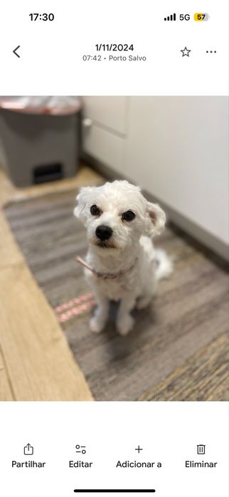 DOACAO Pipoca somos de oeiras