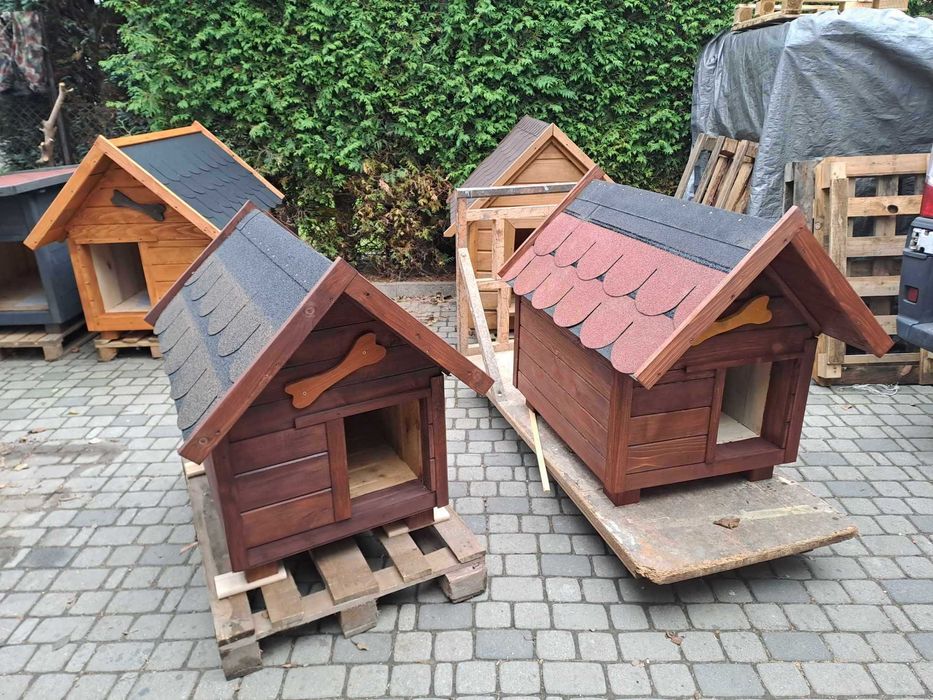 Buda dla psa solidne