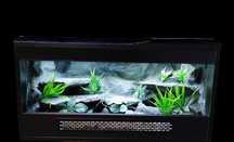 Terrarium tropikalne nr576 80/40/40 dla węża boa pyton  NA ZAMÓWIENIE