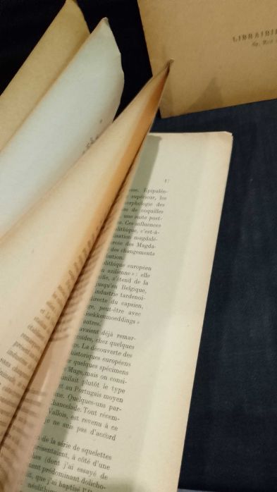 Revue Anthropologique "A. A. Mendes Correa" 1933