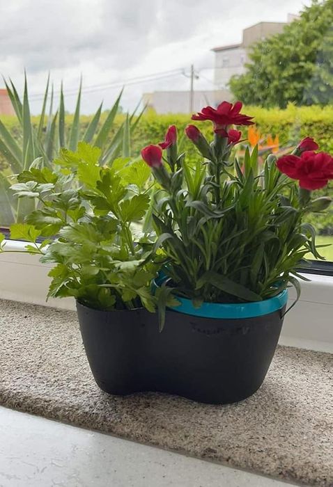 Vaso Preto Tupperware