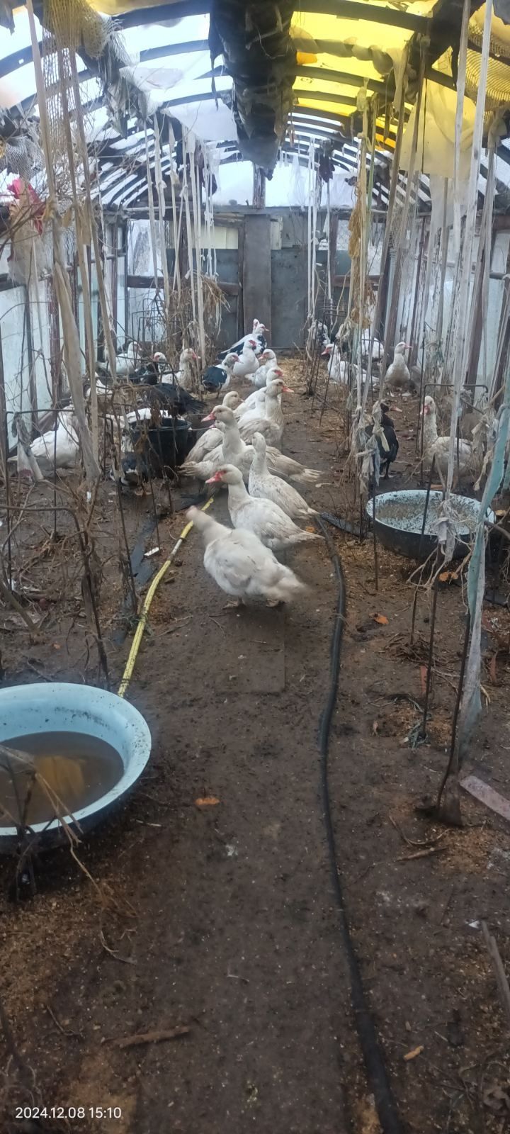 Продам власний будинок