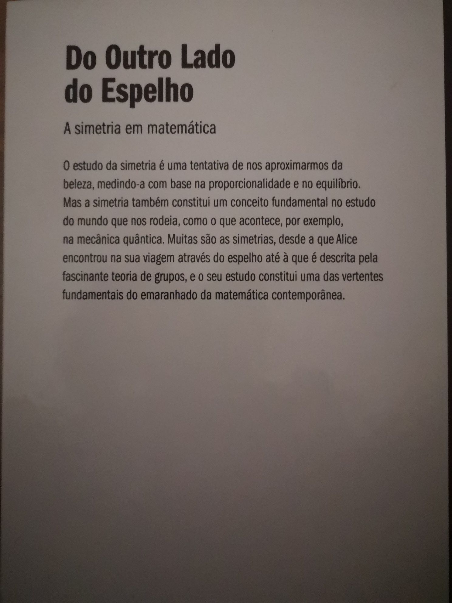 Do OUTRO LADO DO ESPELHO A Simetria em Matemática