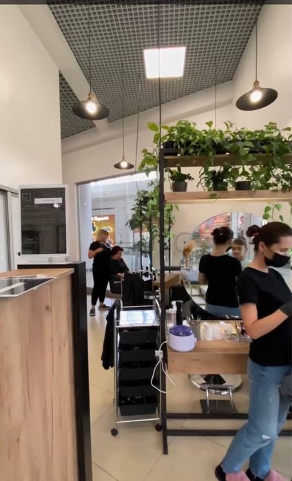 Слон краси Львів, ТЦ Вікторія Гарденс